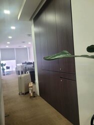 The Central (D1), Office #456952231